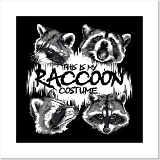 This is My Raccoon Costume Funny Raccoon Street Cats Trash Posters and Art